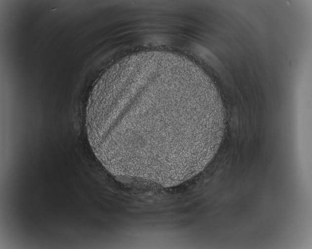 X0000088421015200706191212