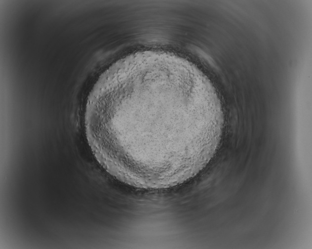 X0000088421016200706191212