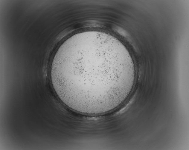 X0000088421017200706191212