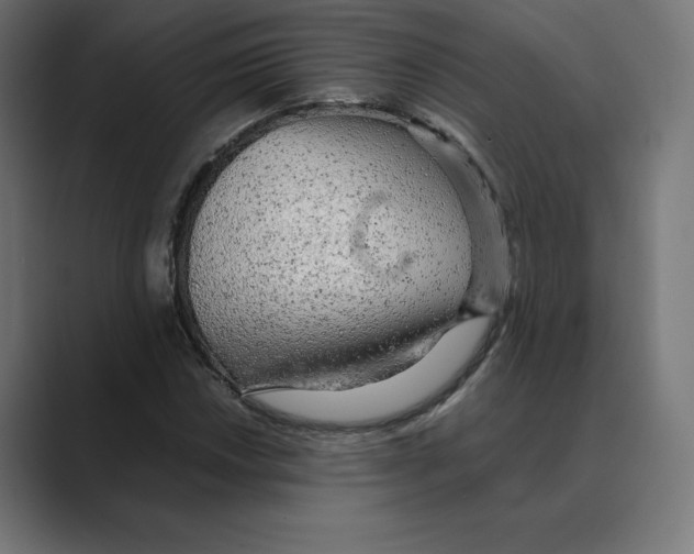 X0000088421018200706191212