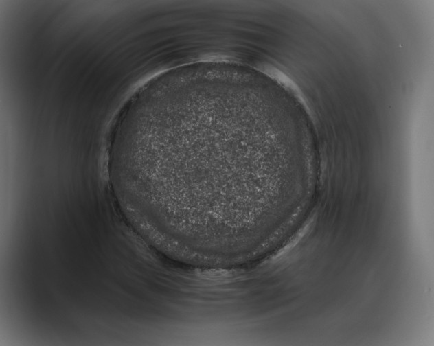 X0000088421019200706191212