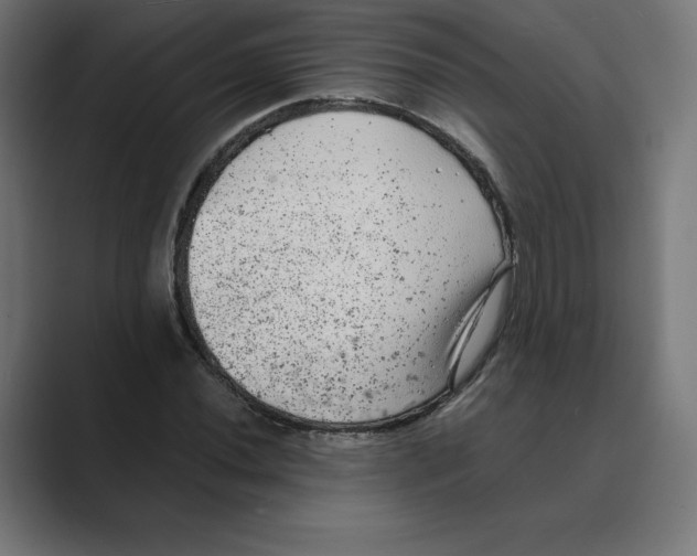 X0000088421020200706191212