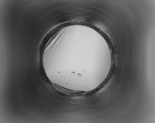 X0000088421021200706191212