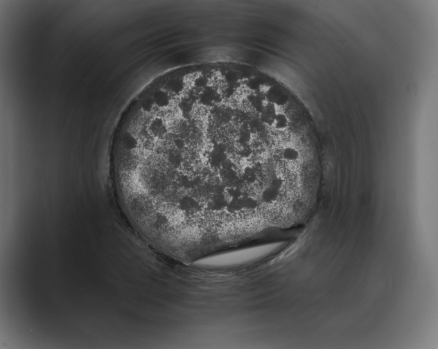 X0000088421023200706191212