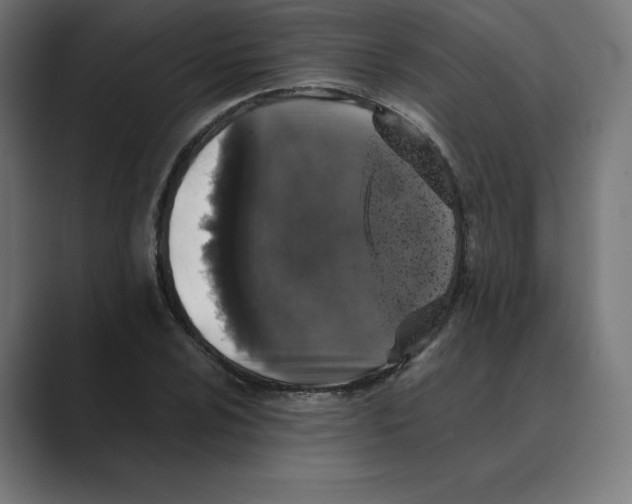 X0000088421024200706191212