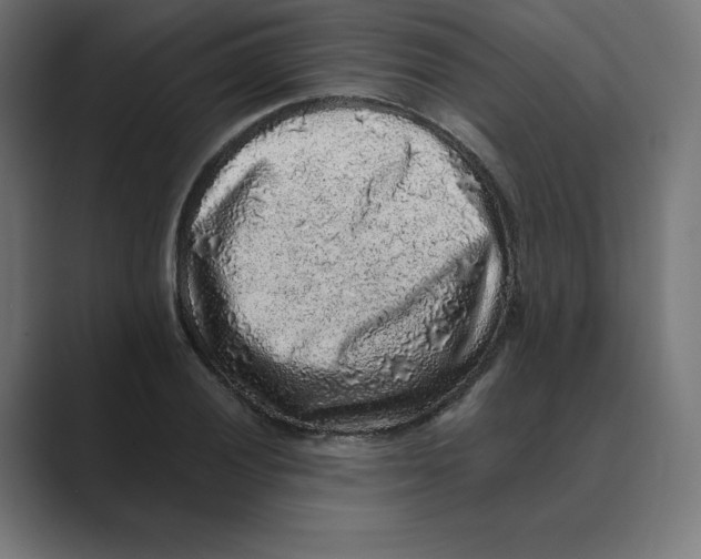 X0000088421028200706191212