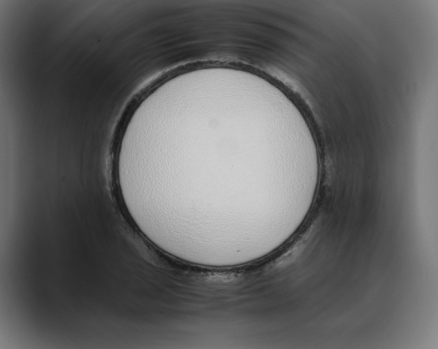X0000088421029200706191212