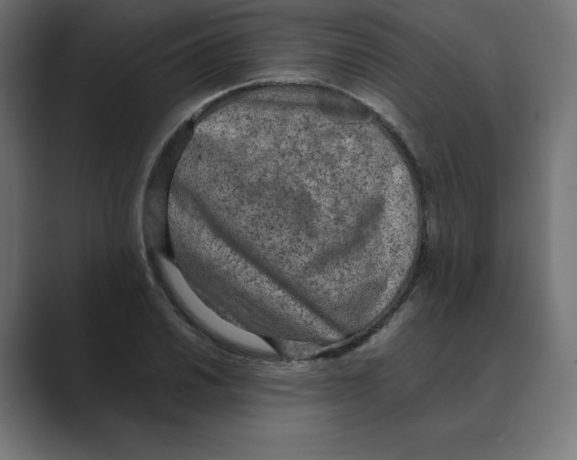 X0000088421030200706191212