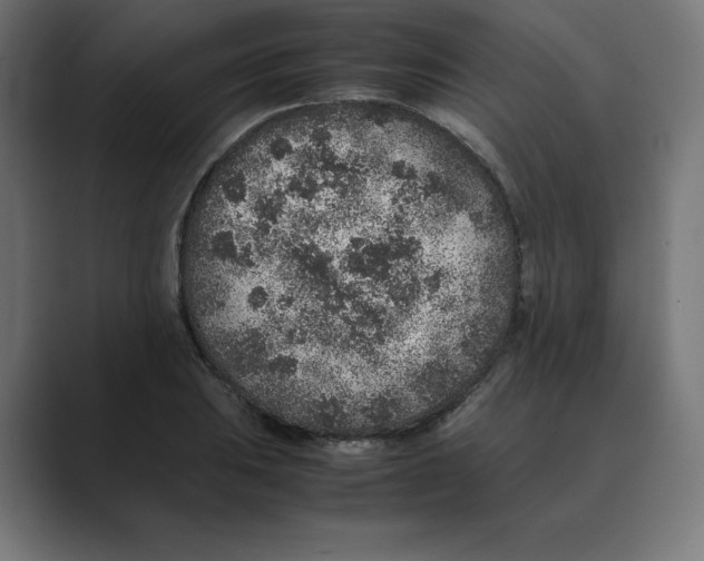 X0000088421031200706191212