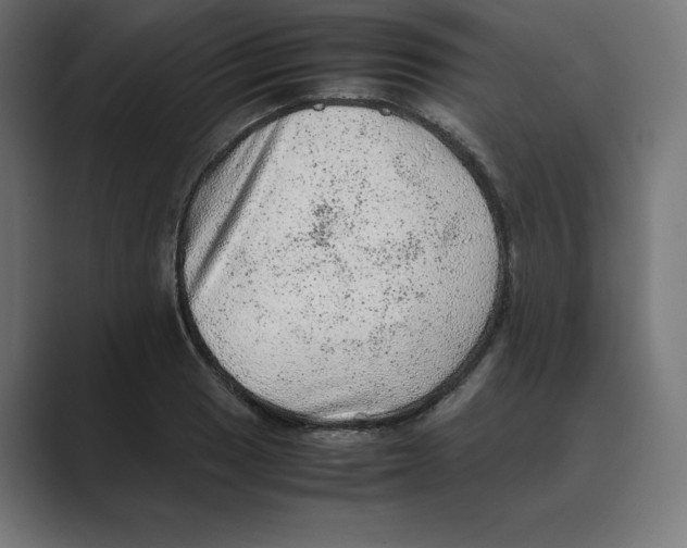 X0000088421033200706191212