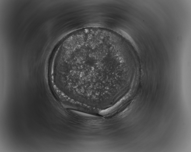 X0000088421035200706191212
