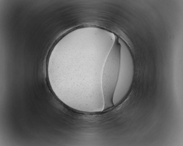 X0000088421036200706191212