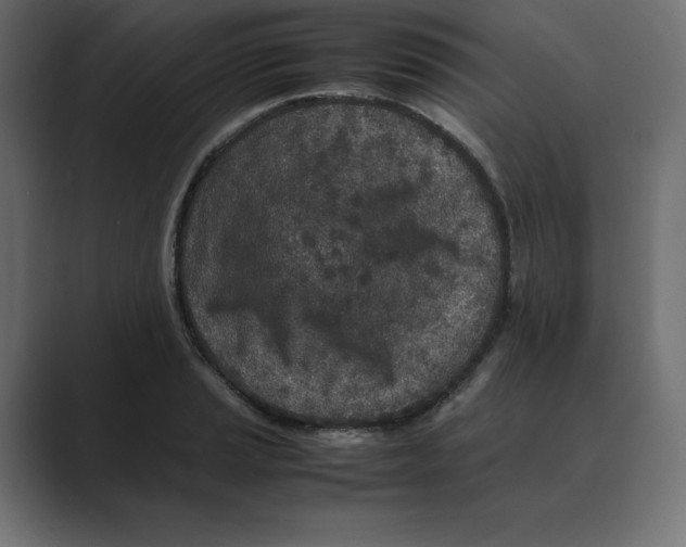 X0000088421037200706191212