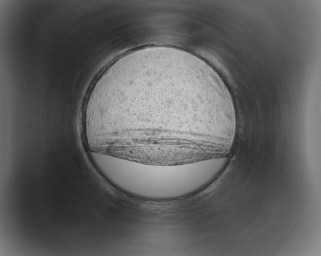 X0000088421040200706191212