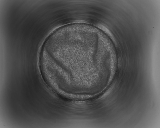X0000088421043200706191212