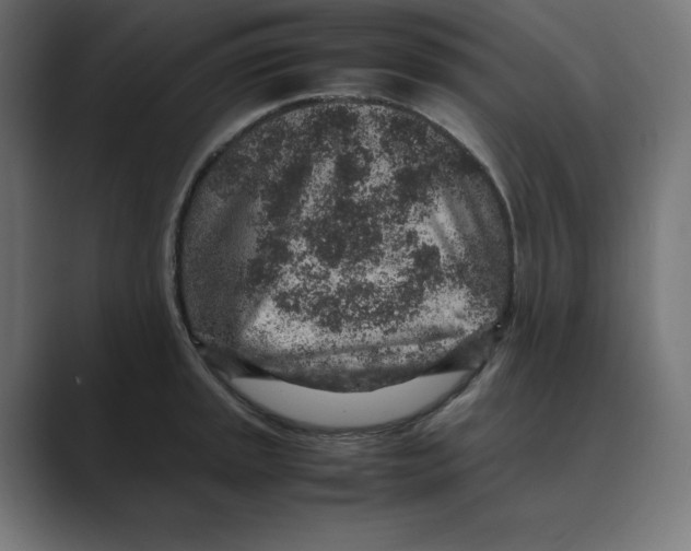 X0000088421045200706191212