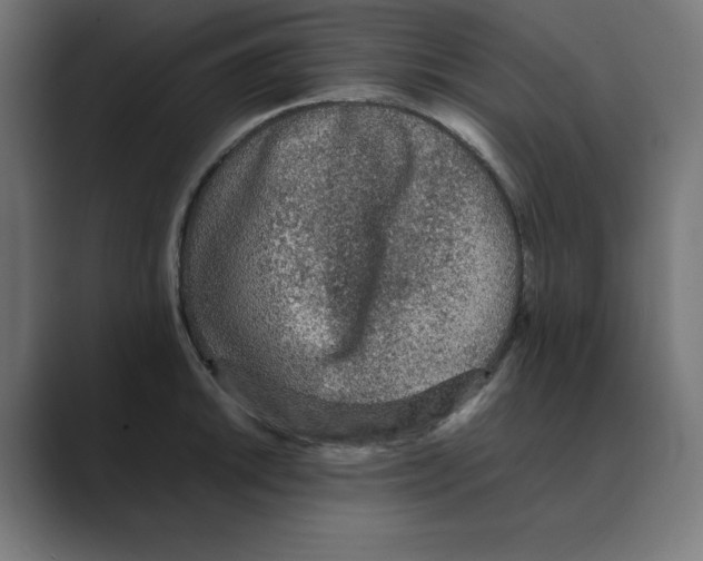 X0000088421046200706191212