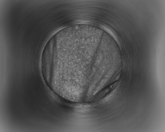 X0000088421050200706191212