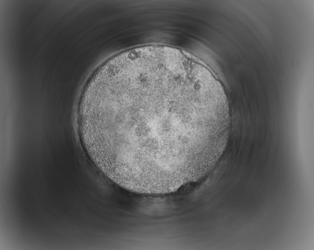 X0000088421051200706191212