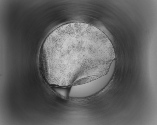 X0000088421052200706191212
