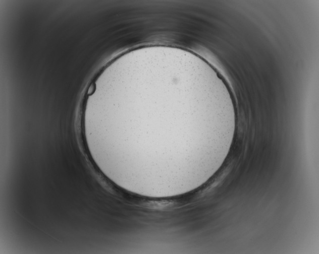 X0000088421053200706191212