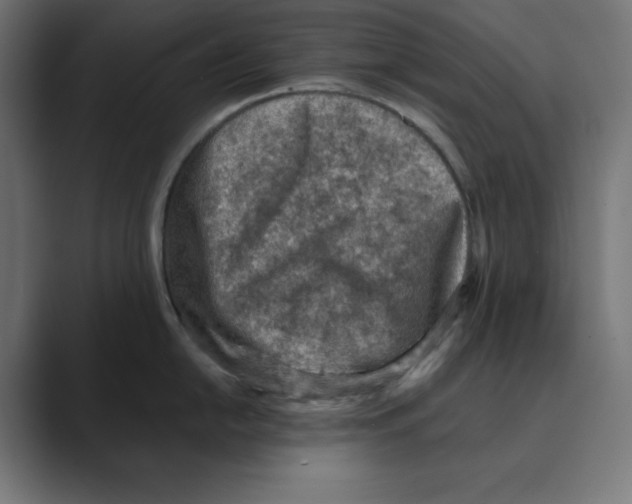X0000088421054200706191212