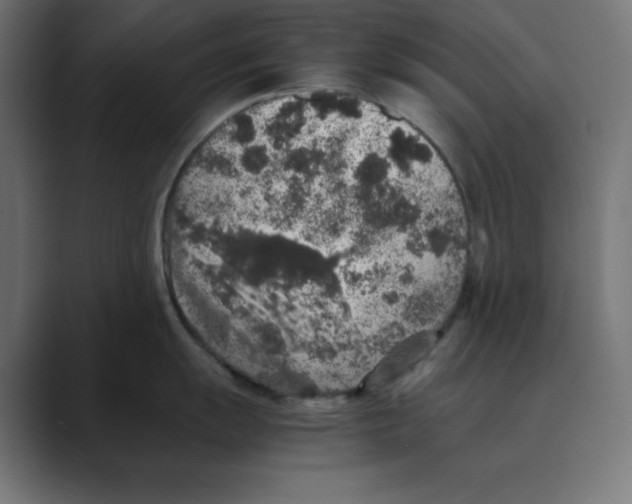 X0000088421055200706191212