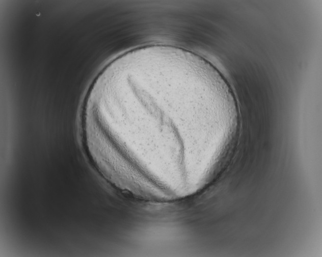 X0000088421056200706191212