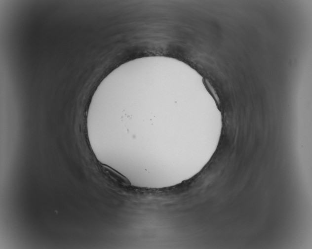 X0000088421057200706191212