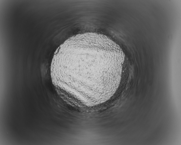 X0000088421059200706191212
