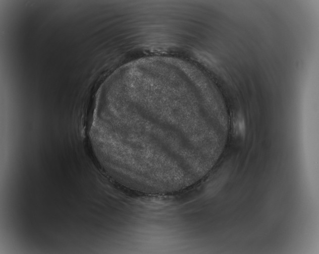 X0000088421060200706191212