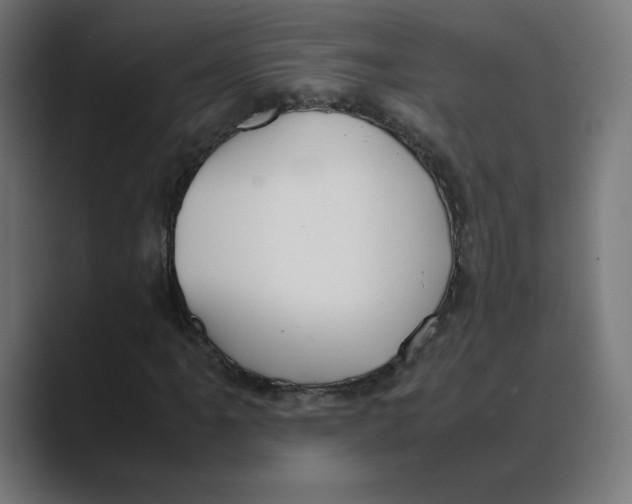 X0000088421061200706191212