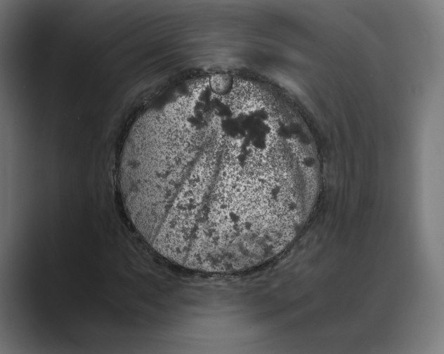 X0000088421063200706191212