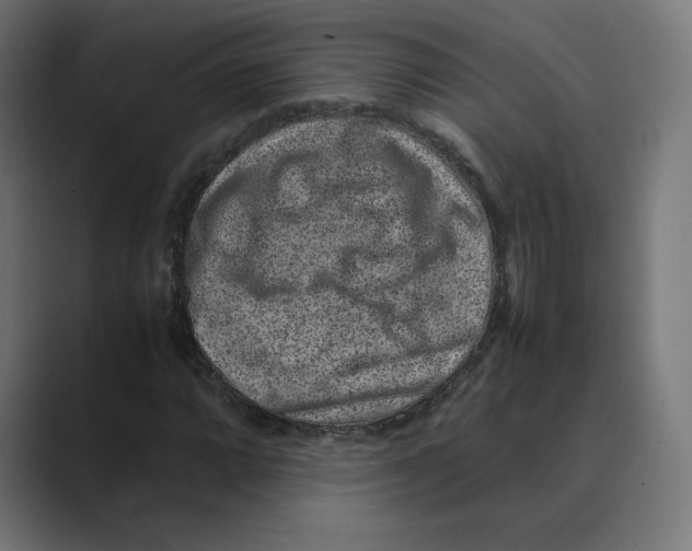 X0000088421064200706191212