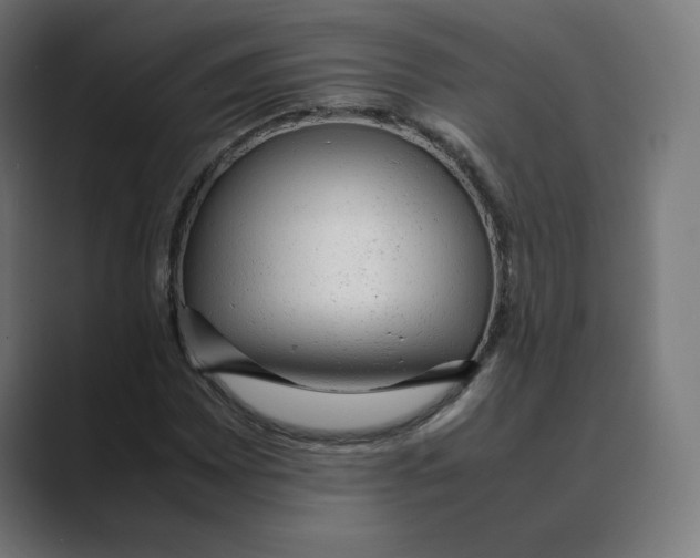 X0000088421065200706191212