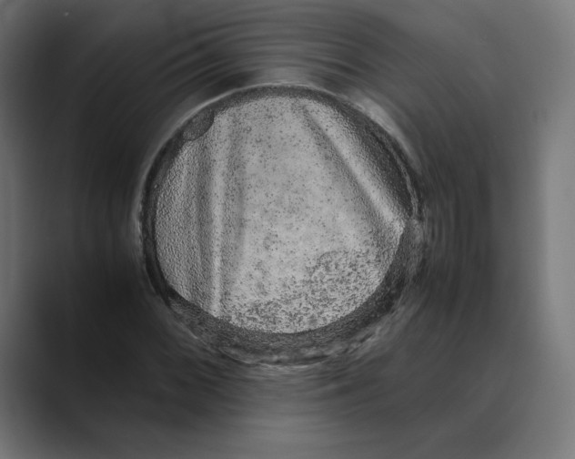 X0000088421068200706191212