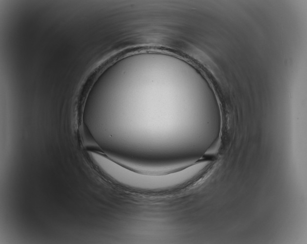 X0000088421069200706191212