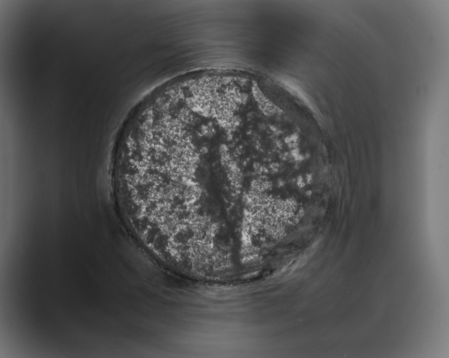 X0000088421071200706191212