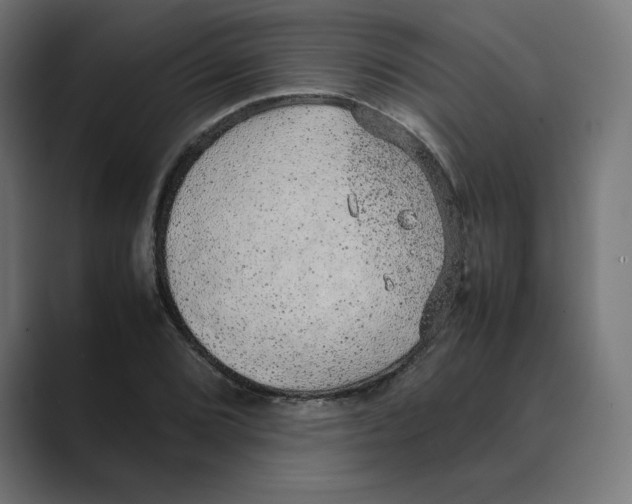 X0000088421072200706191212