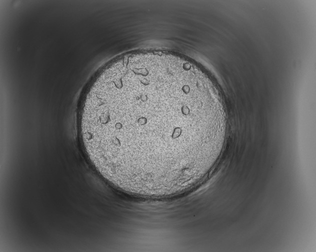 X0000088421075200706191212