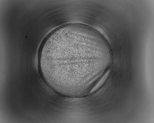 X0000088421076200706191212