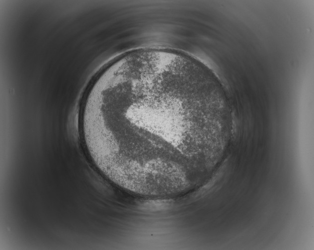 X0000088421078200706191212