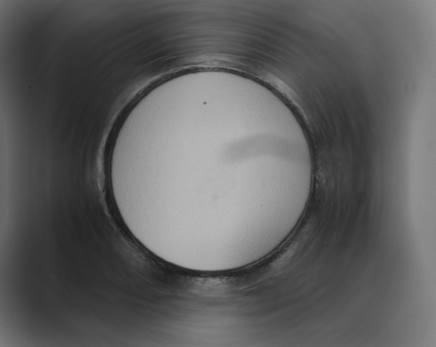 X0000088421082200706191211
