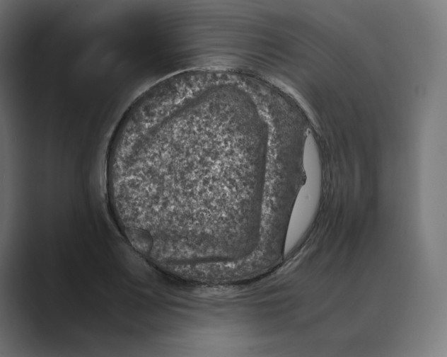 X0000088421083200706191211
