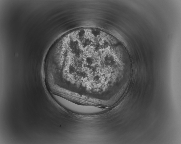 X0000088421084200706191211