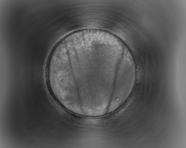 X0000088421086200706191211