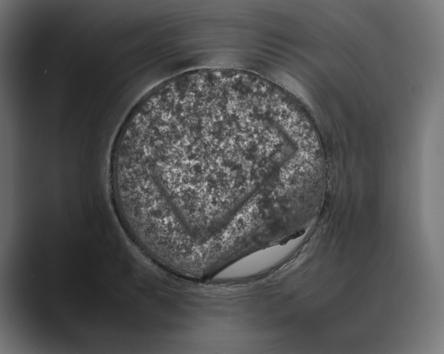 X0000088421087200706191211