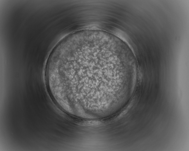X0000088421090200706191211