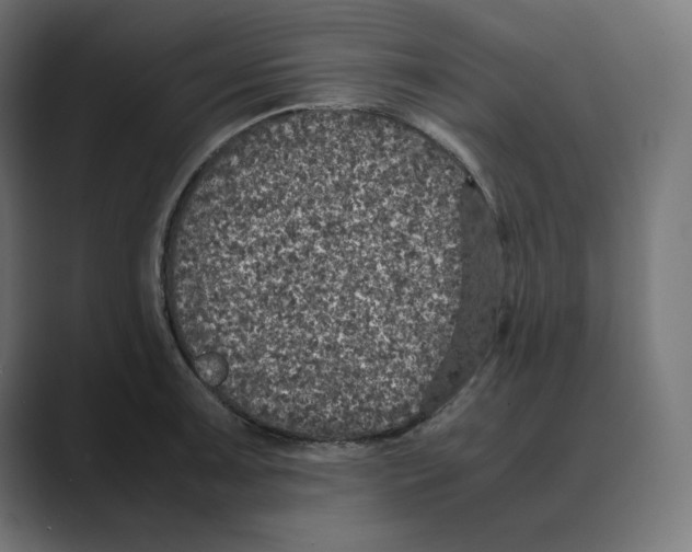 X0000088421091200706191211