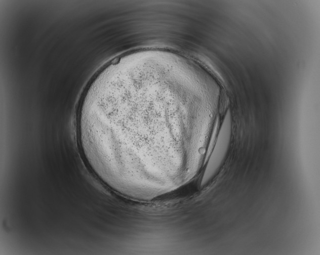 X0000088421092200706191211